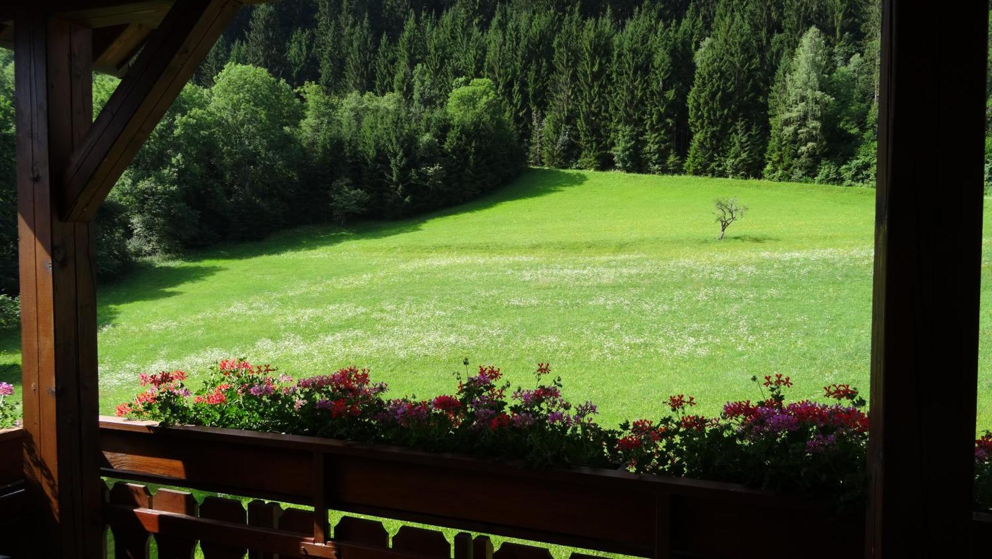 Ferienhaus Enzi Weissbriach Zewnętrze zdjęcie